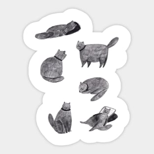 Scruffy Cats Sticker